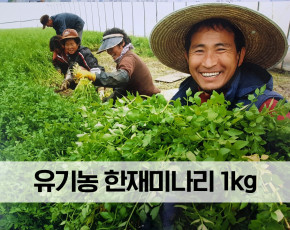 [한고을] 유기농 한재미나리 1kg